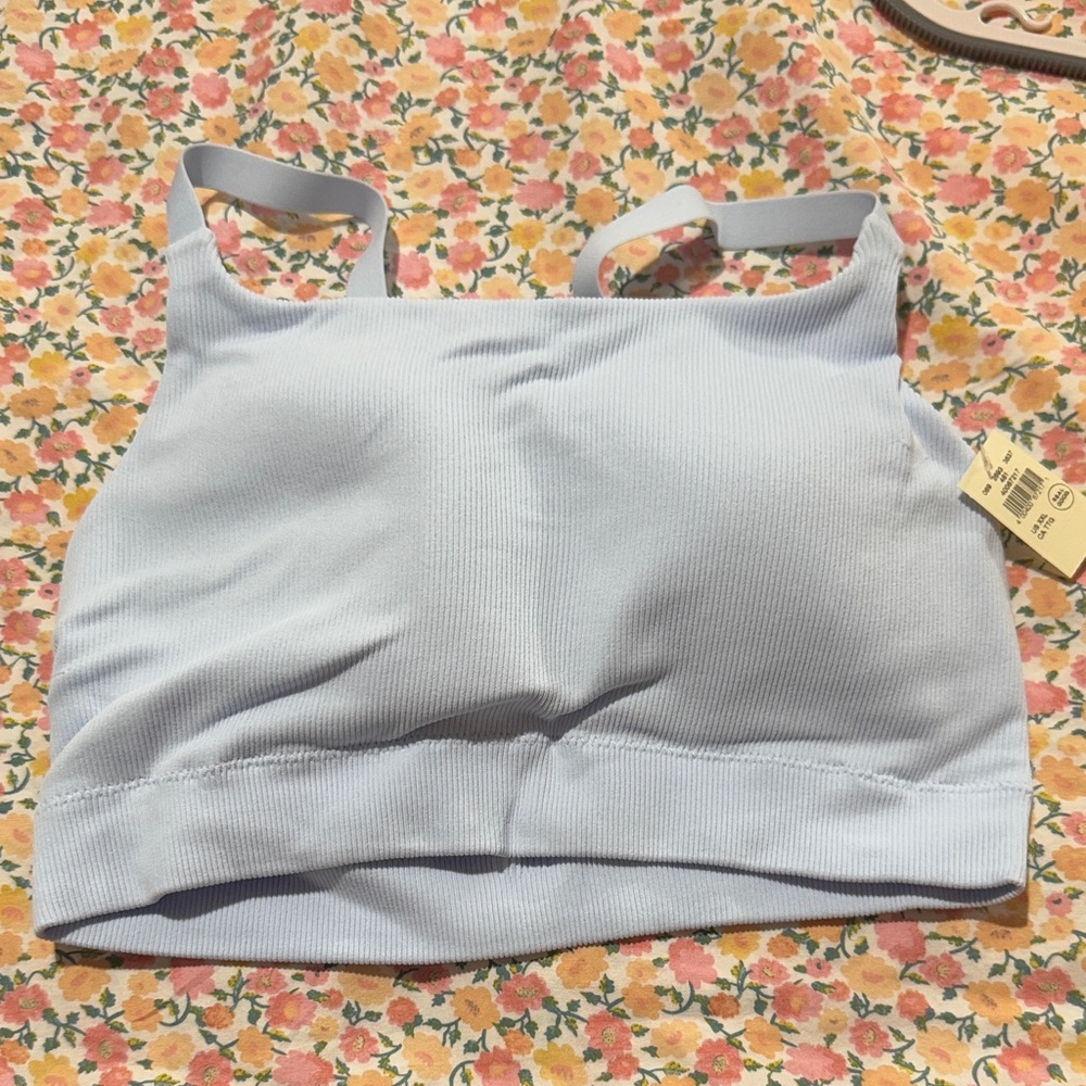 Aerie Light Blue Ribbed Sports Bra